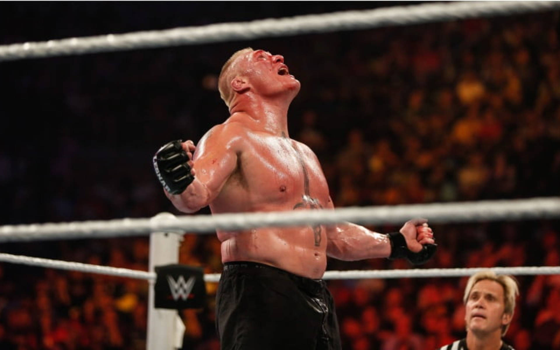 Brock Lesnar Ringside Photo