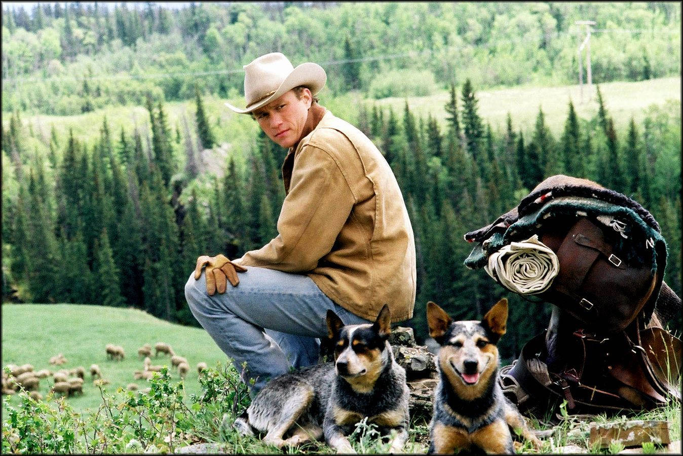 Brokeback Mountain Ennis Del Mar Cattle Dogs Background