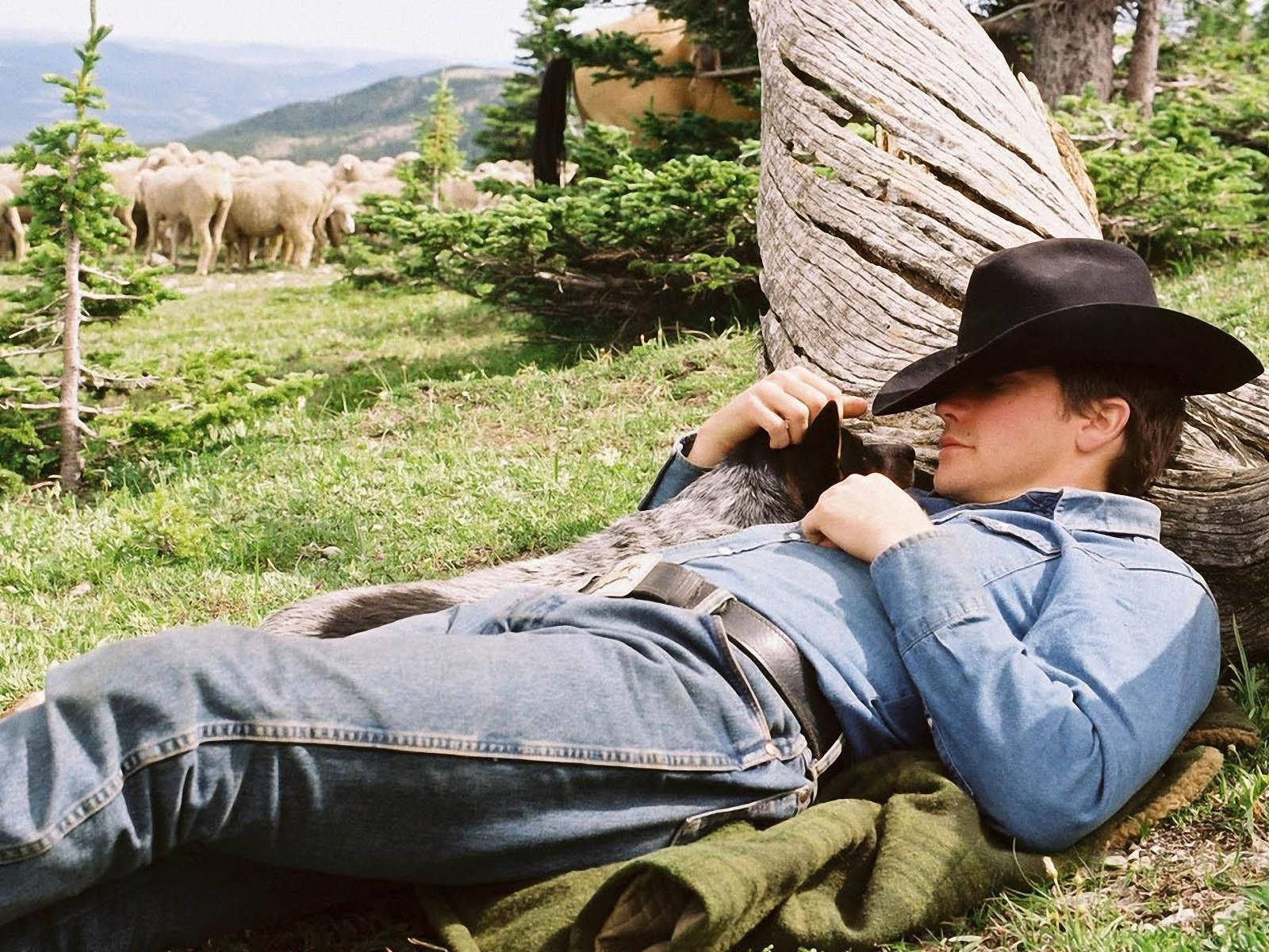 Brokeback Mountain Jake Gyllenhaal Background