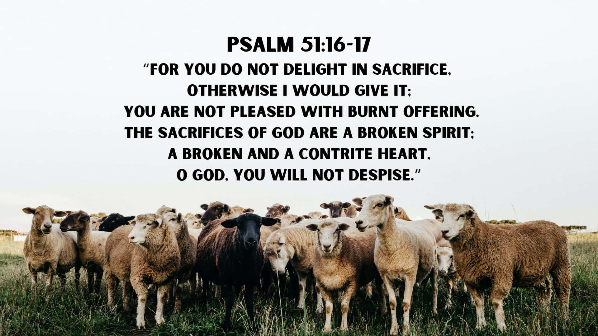 Broken And Contrite Heart