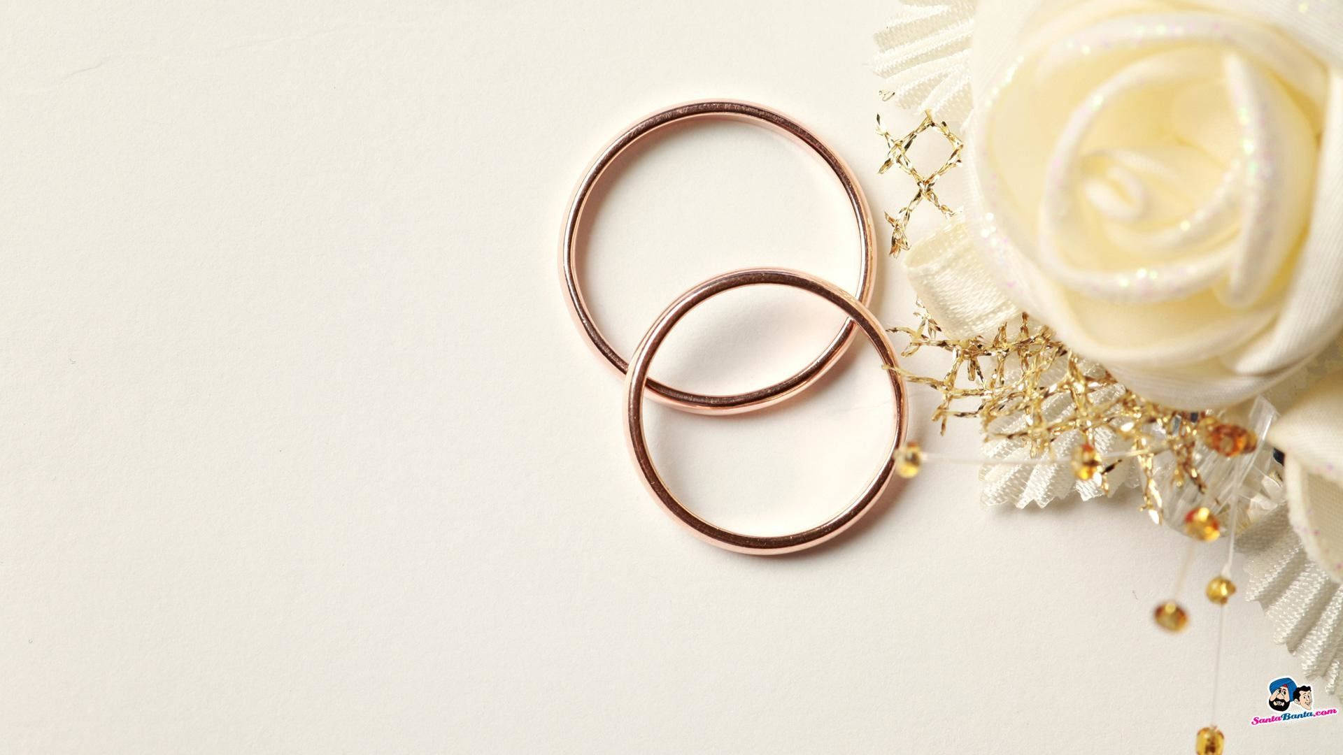 Bronze Wedding Rings Background