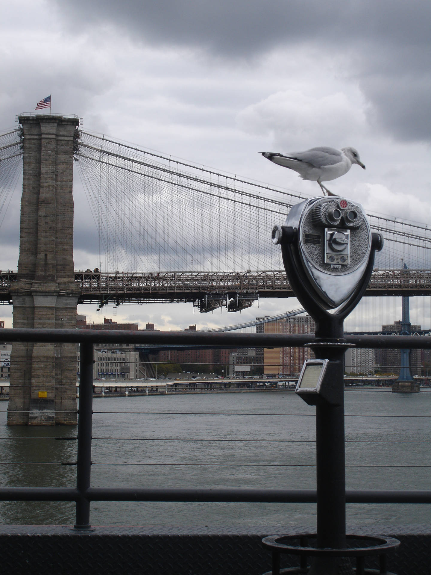 Brooklyn Bridge Gloomy Day Pigeon Background