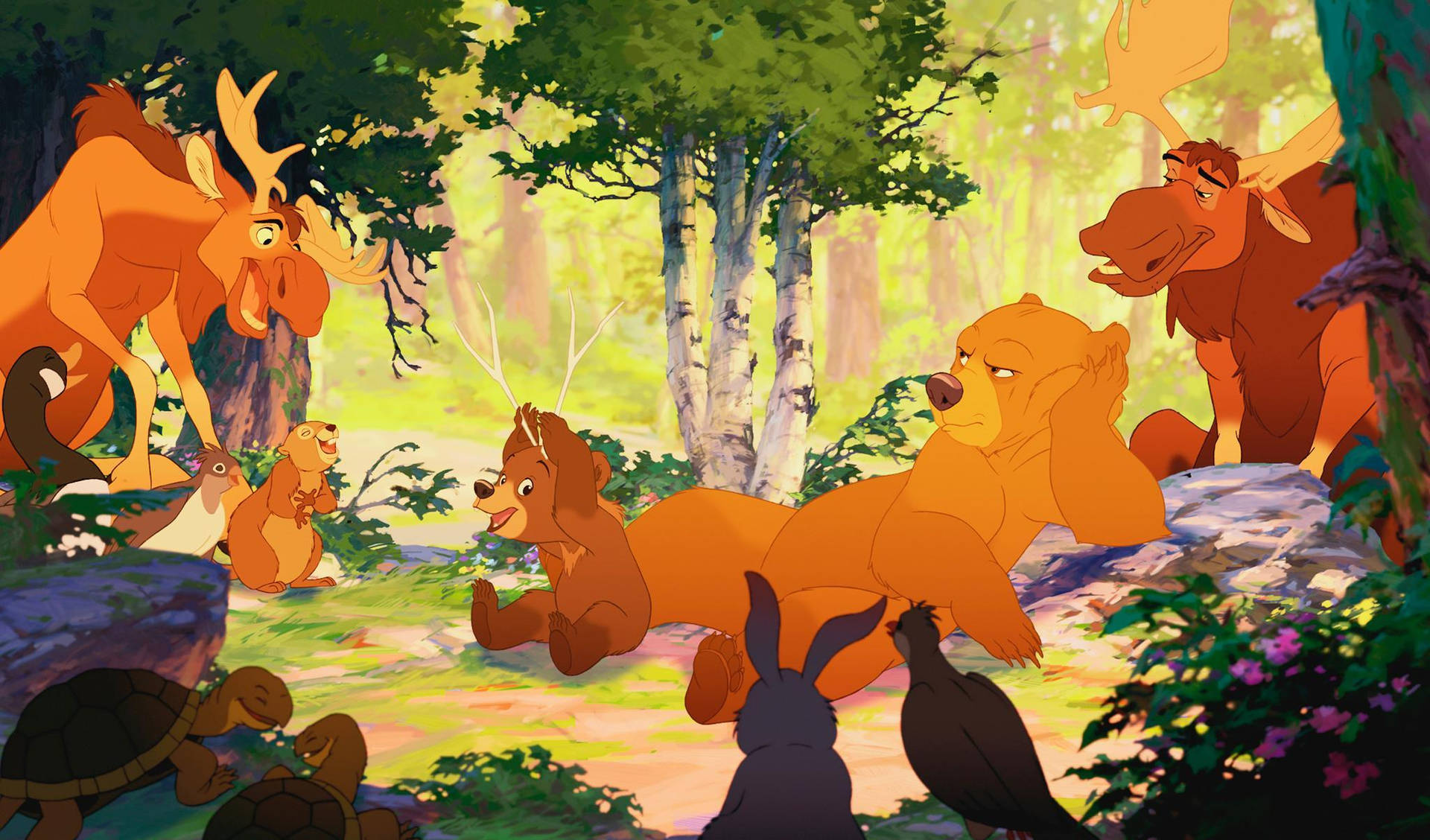 Brother Bear Animals In The Woods