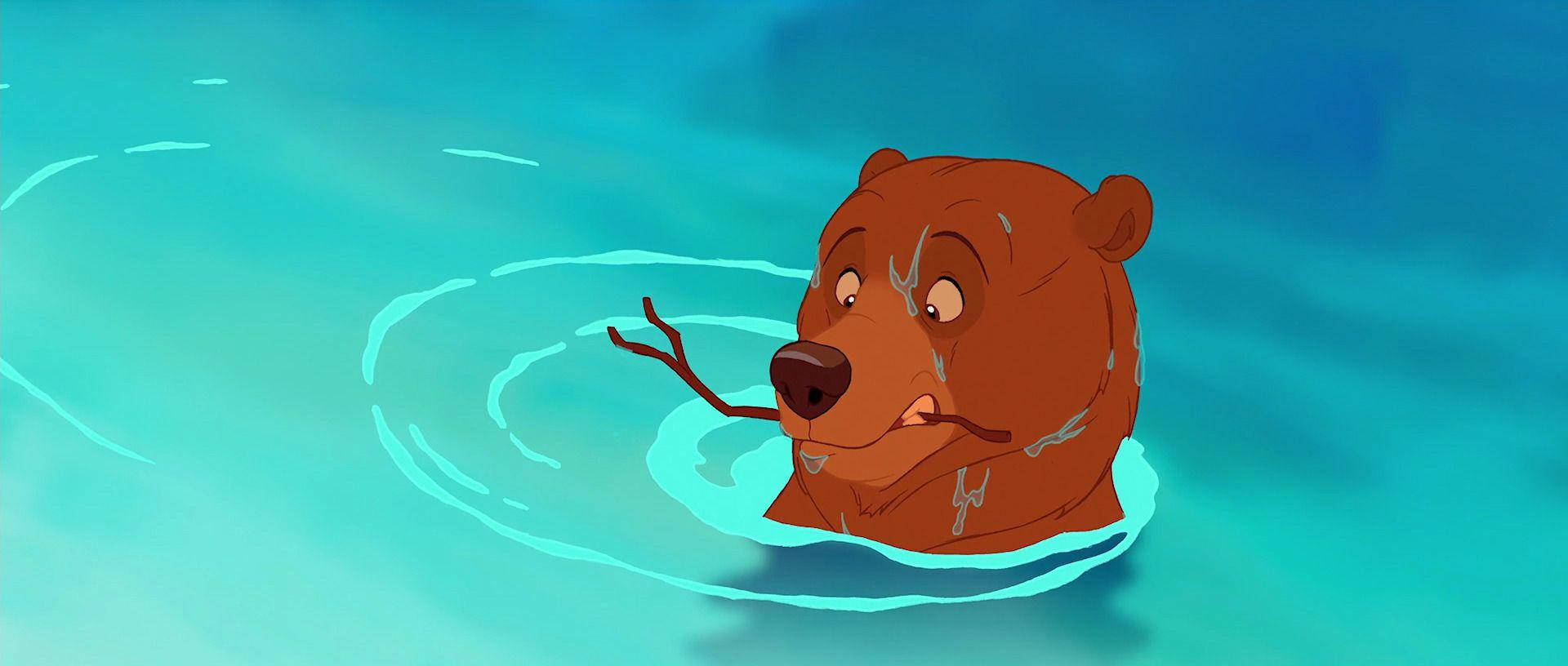 Brother Bear Kenai Swims With Twig Background