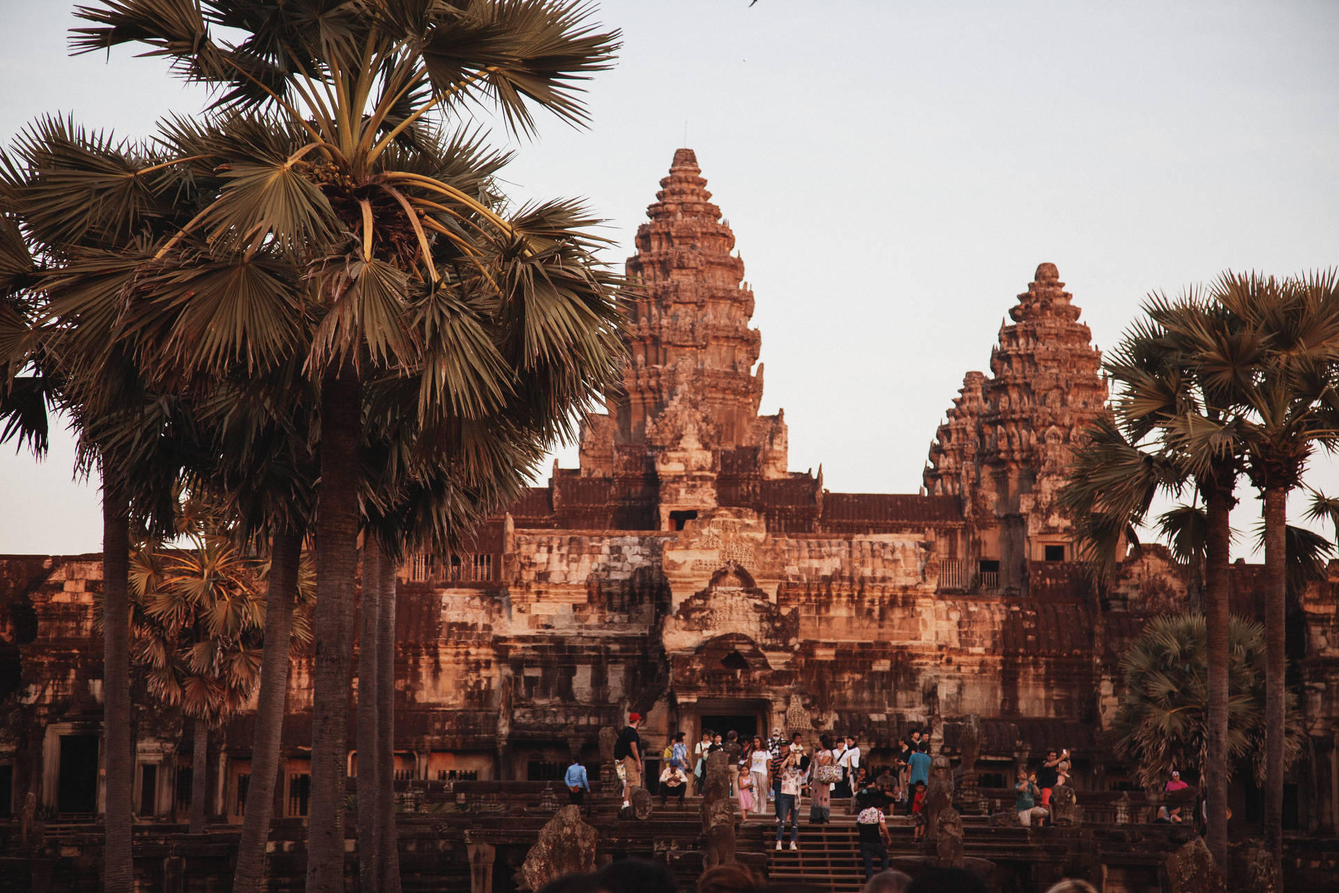 Brown Aesthetic Angkor Wat Surrounded By Trees Background
