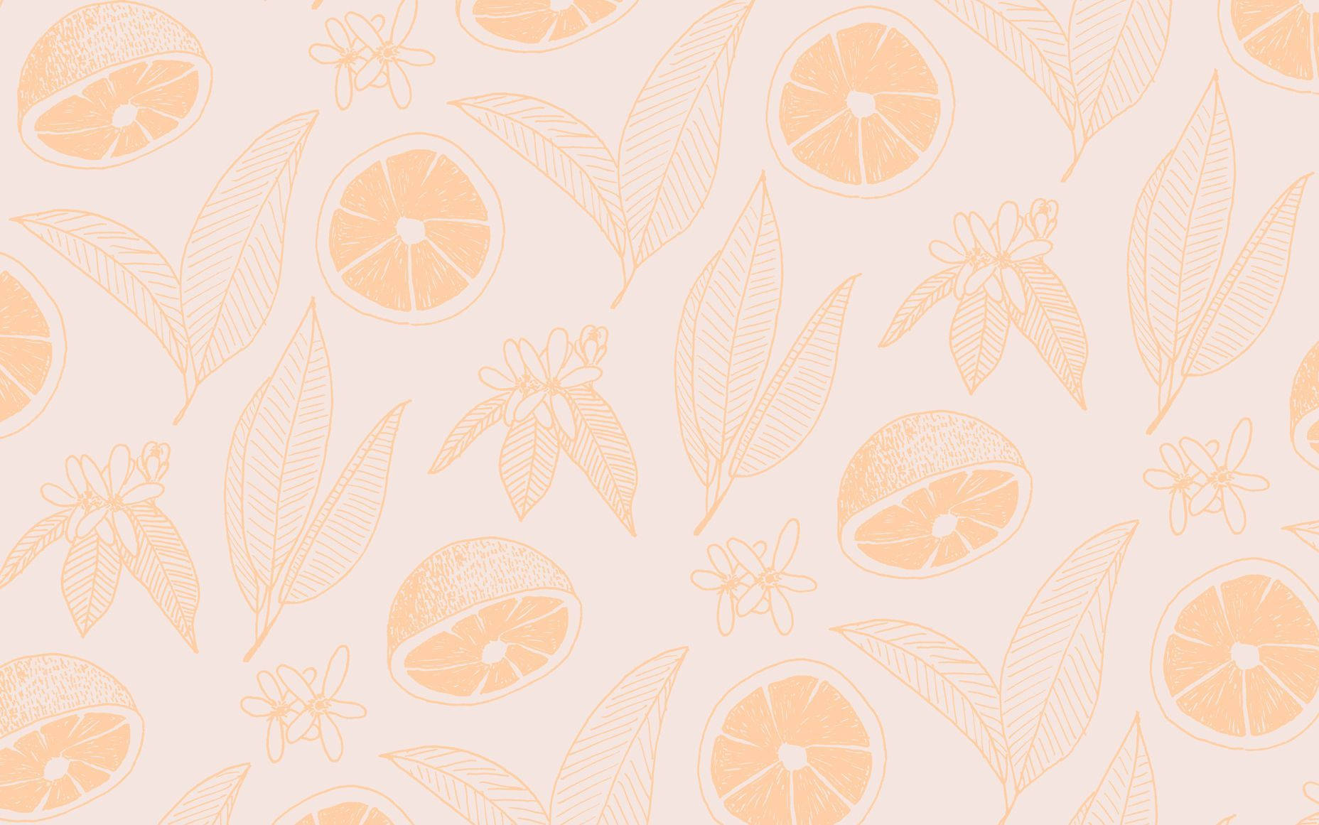 Brown Aesthetic Lemon And Leaves Laptop Background