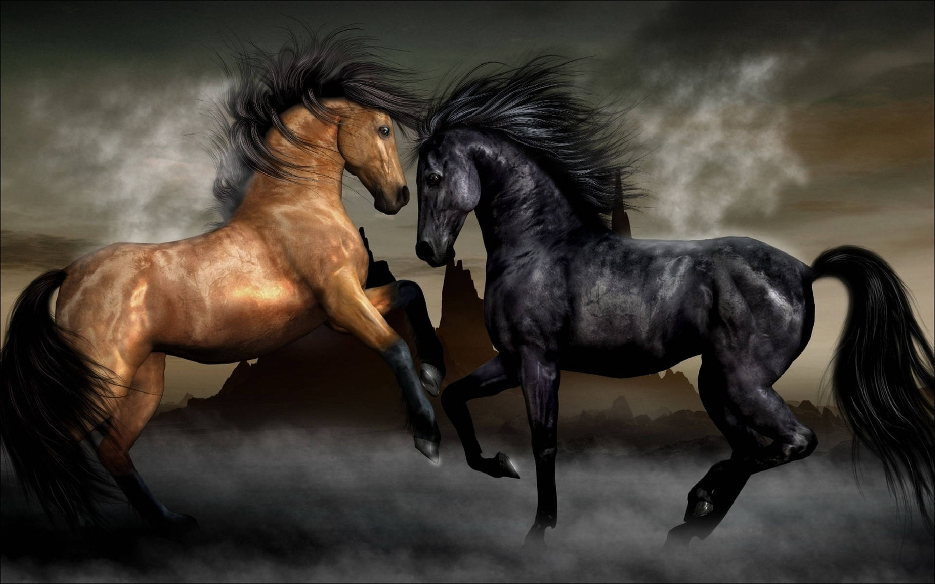 Brown And Black Beautiful Horses Background