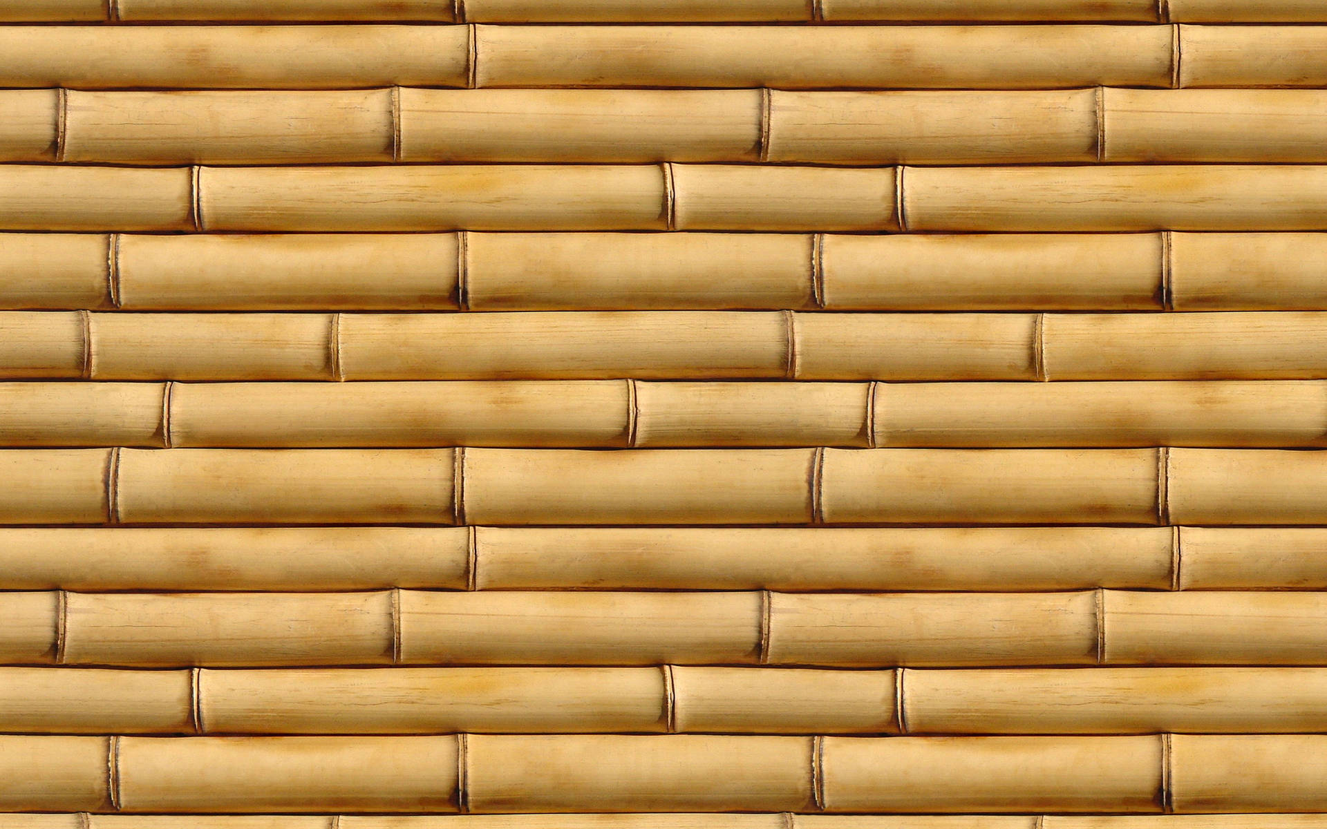 Brown Bamboo Hd Background