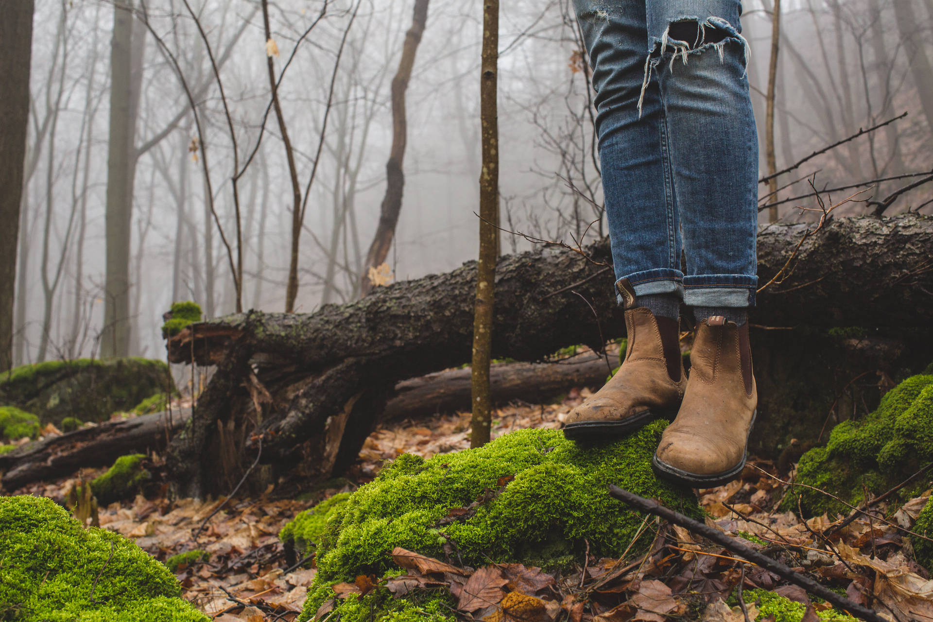 Brown Boots And Foggy Forest