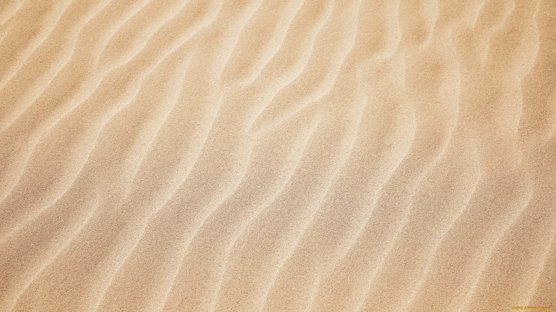 Brown Desert Sand Pattern Background