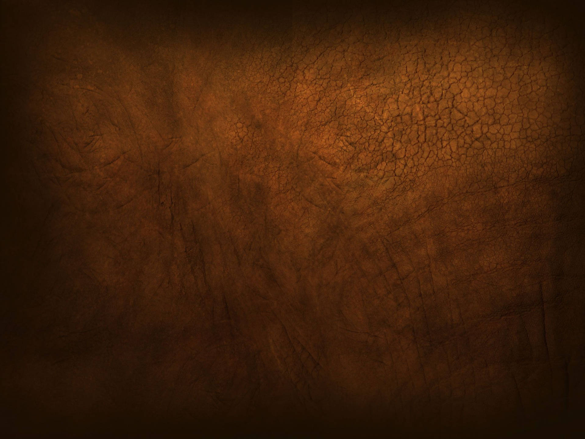 Brown Dry Land Texture Background