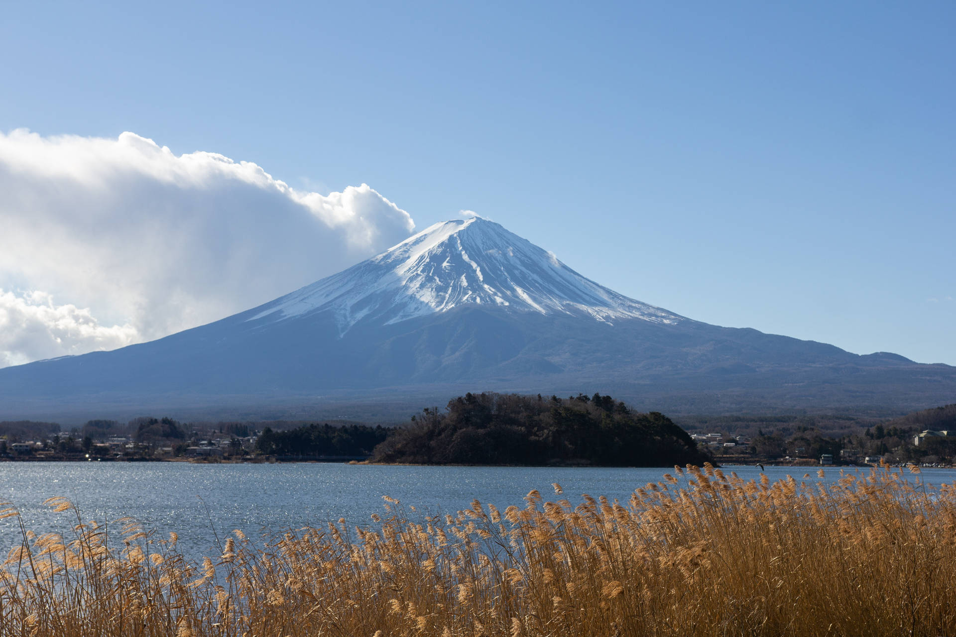 Brown Filed With Mount Fuji Background