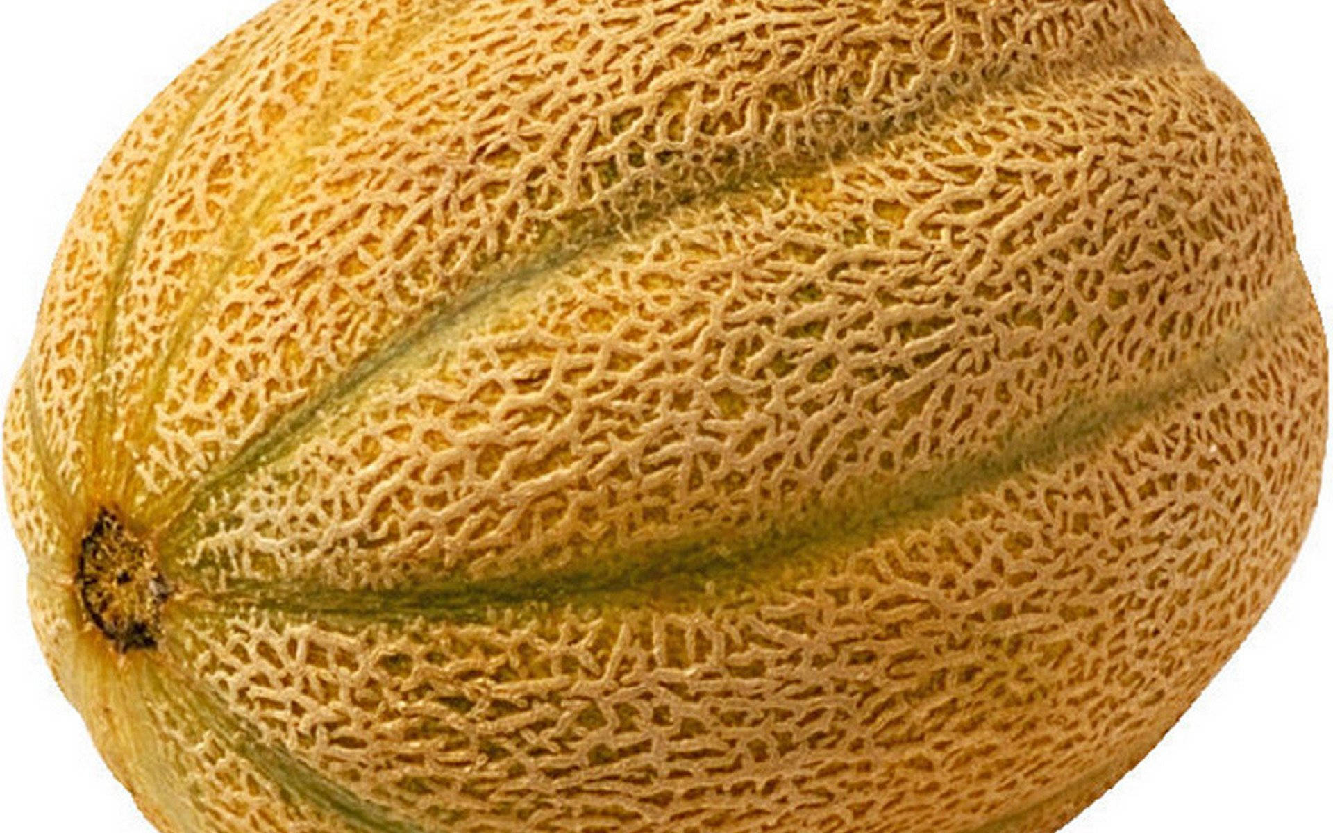 Brown Honeydew Melon Skin Texture Background