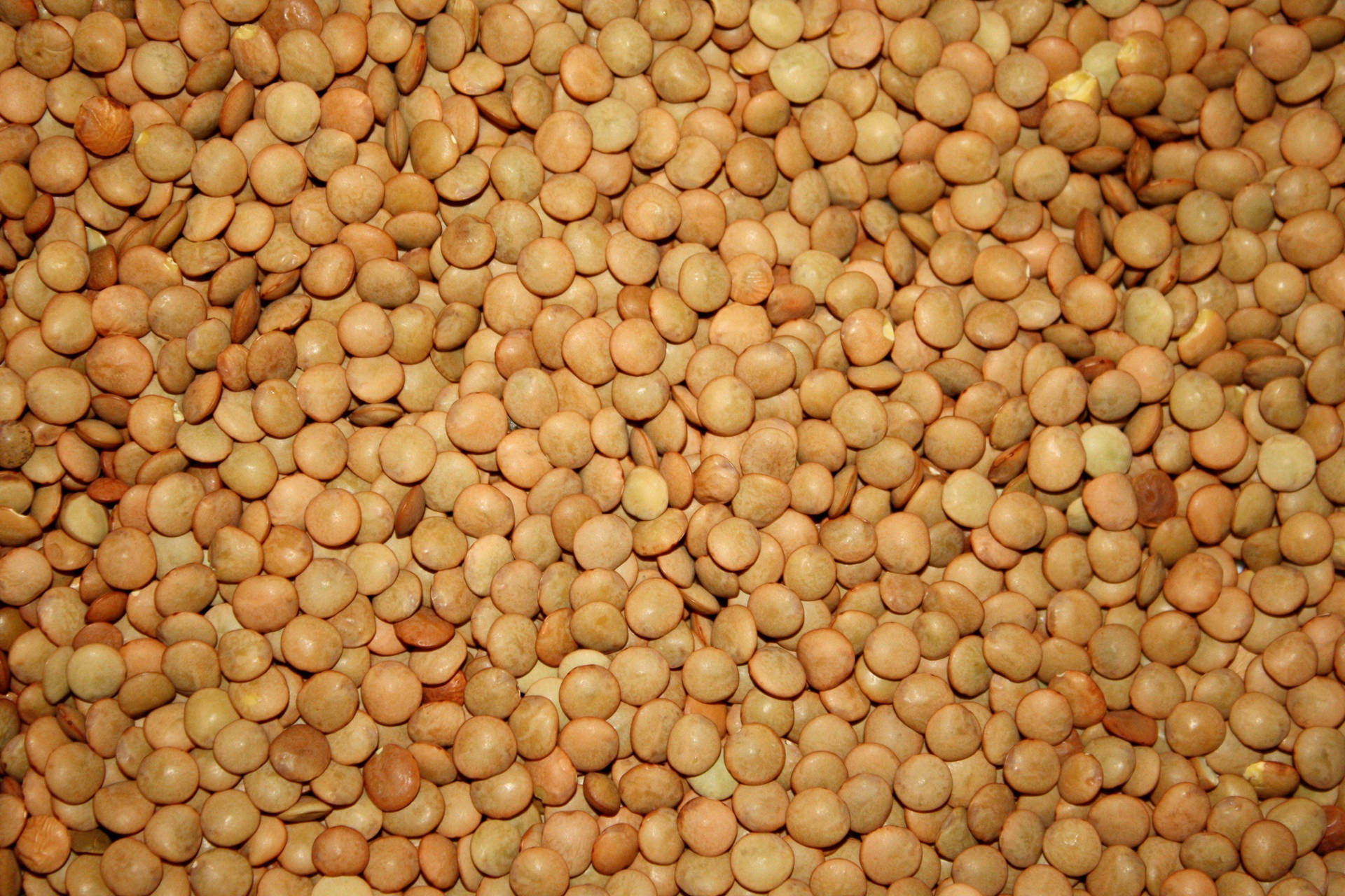 Brown Lentils Legumes