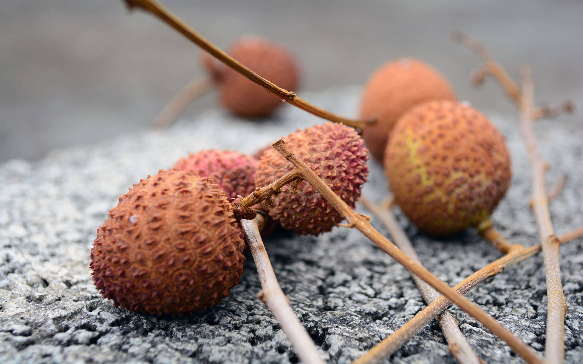 Brown Lychee Fruits Attached To Twigs