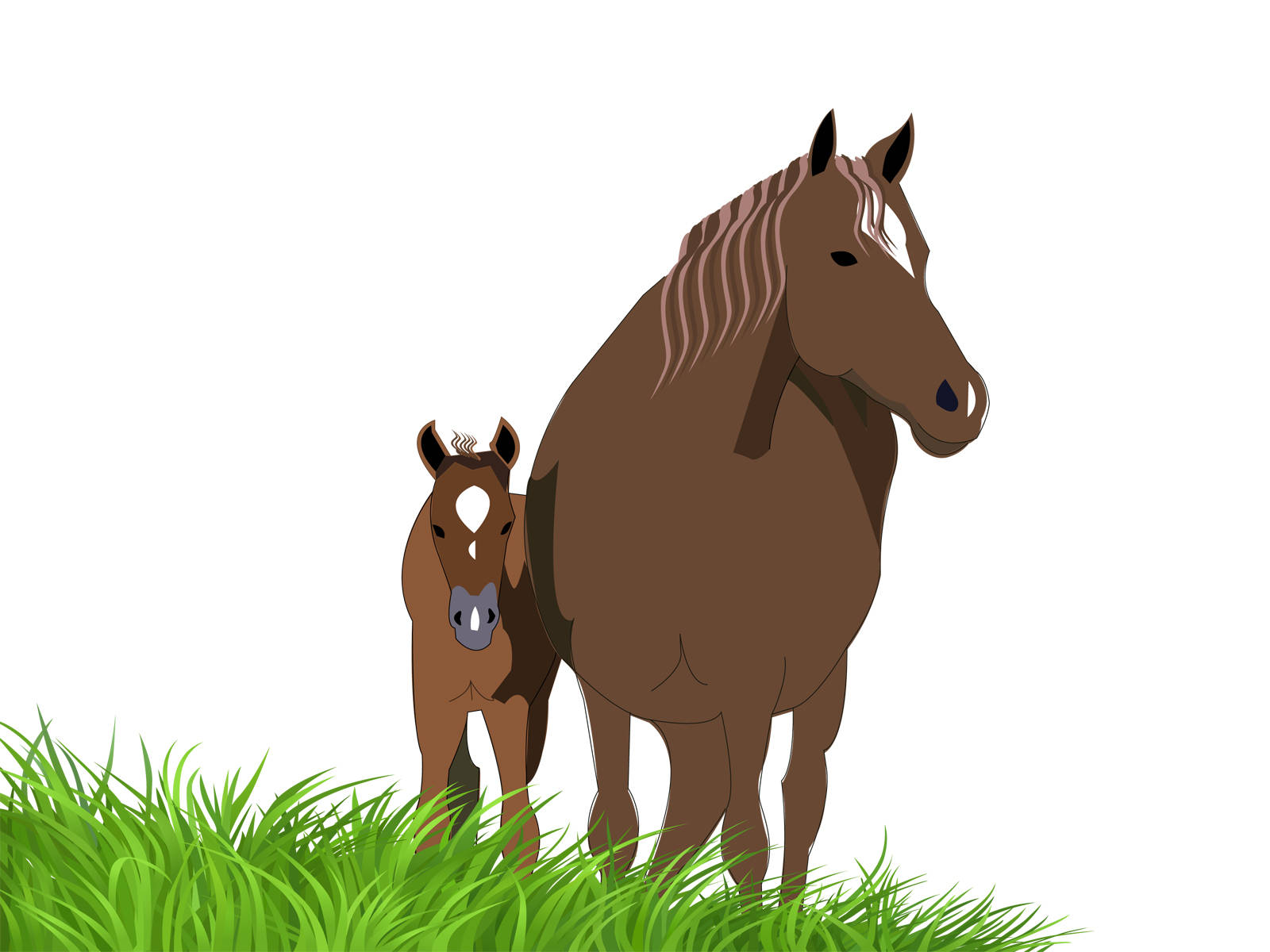 Brown Mare And Baby Foal Vector Art Background