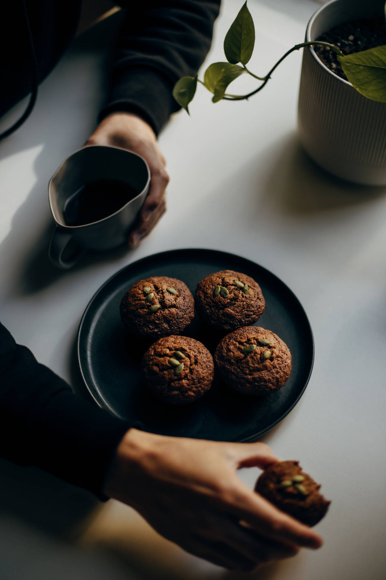 Brown Muffins With Seeds Background