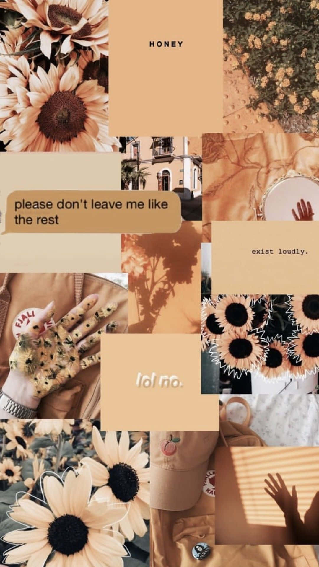 Brown Pastel Aesthetic Flowers And Quotes Collage Background