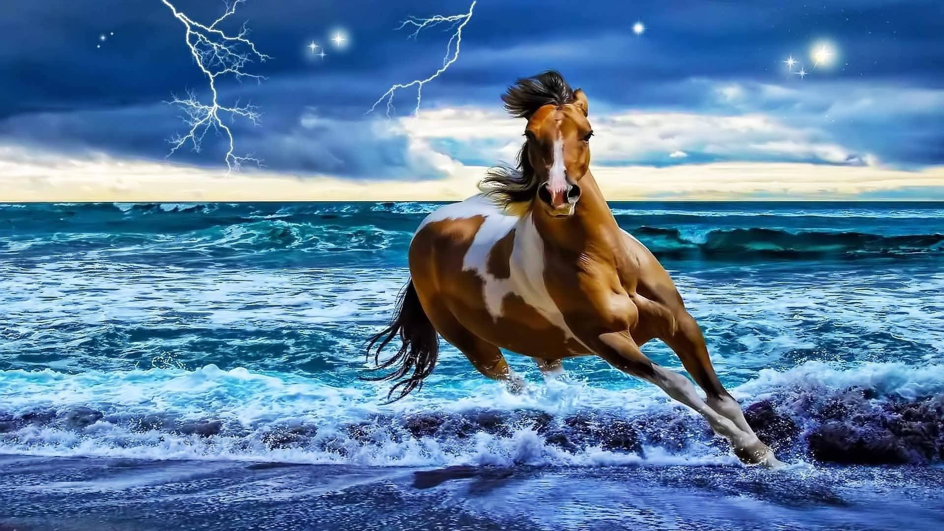 Brown Running Horse With White Markings Background