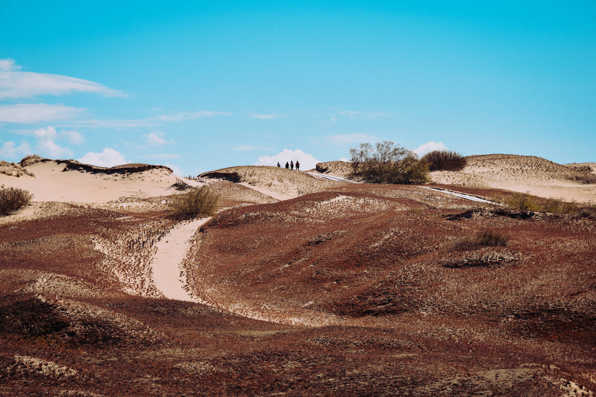 Brown Sand Dune In Lithuania Background