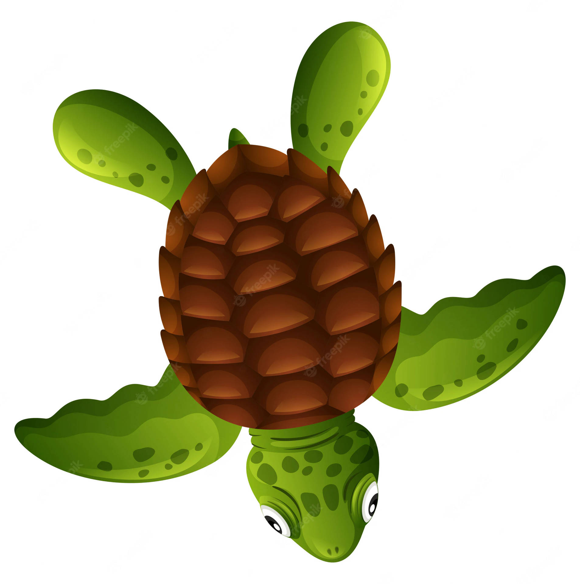 Brown Shell Cartoon Turtle Background