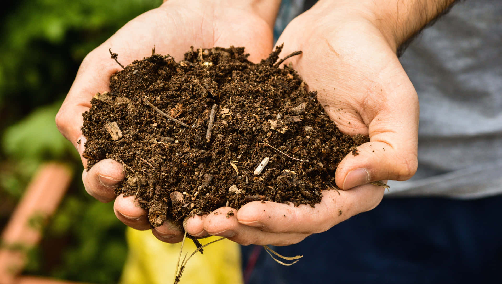 Brown Soil On The Hand Background