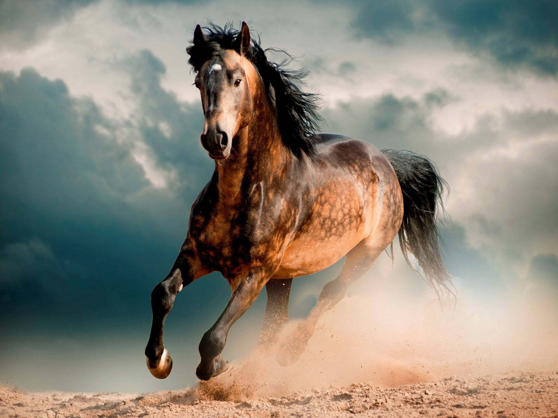 Brown-spotted Running Horse Background