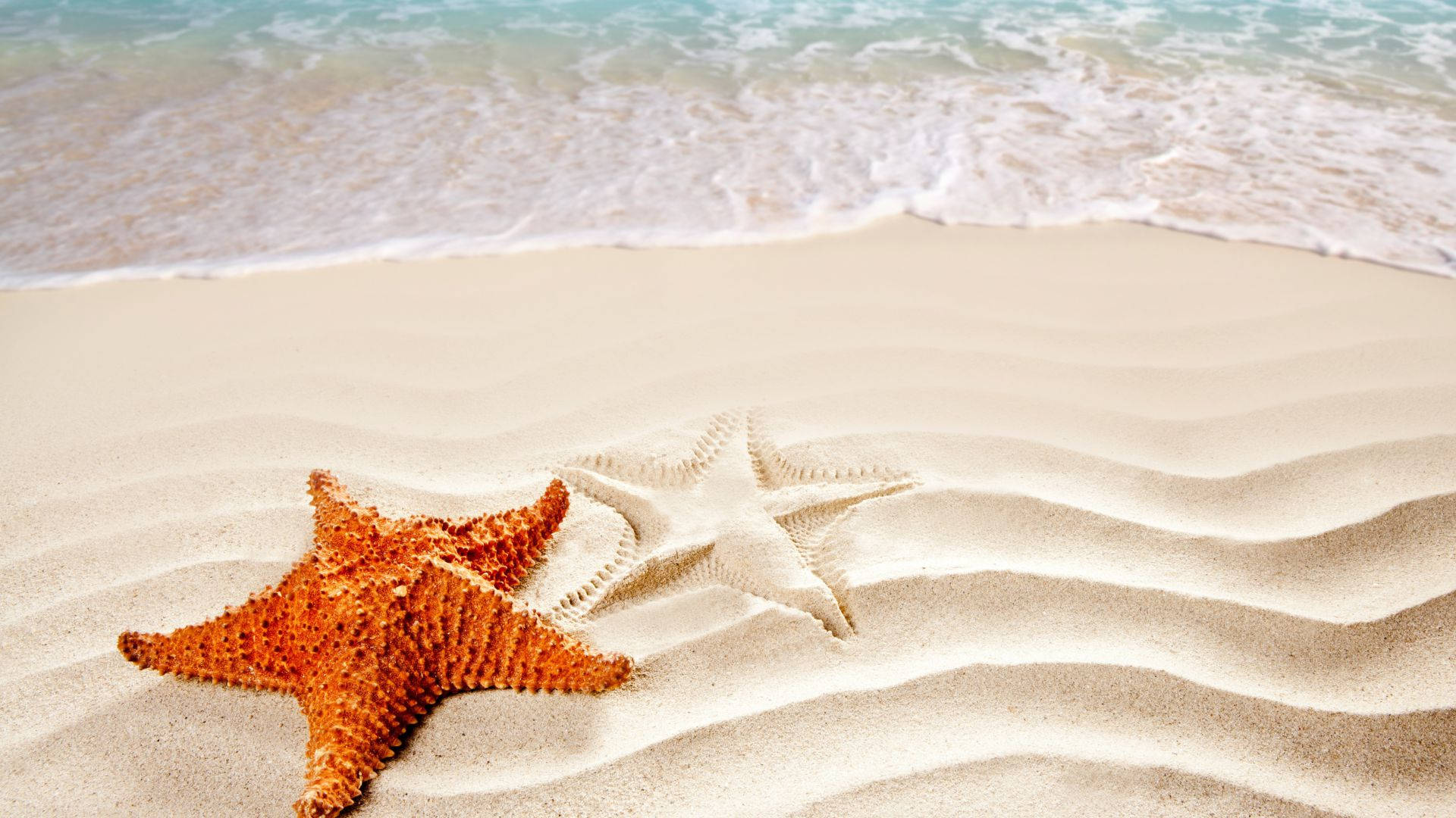 Brown Starfish Sand Pattern Background