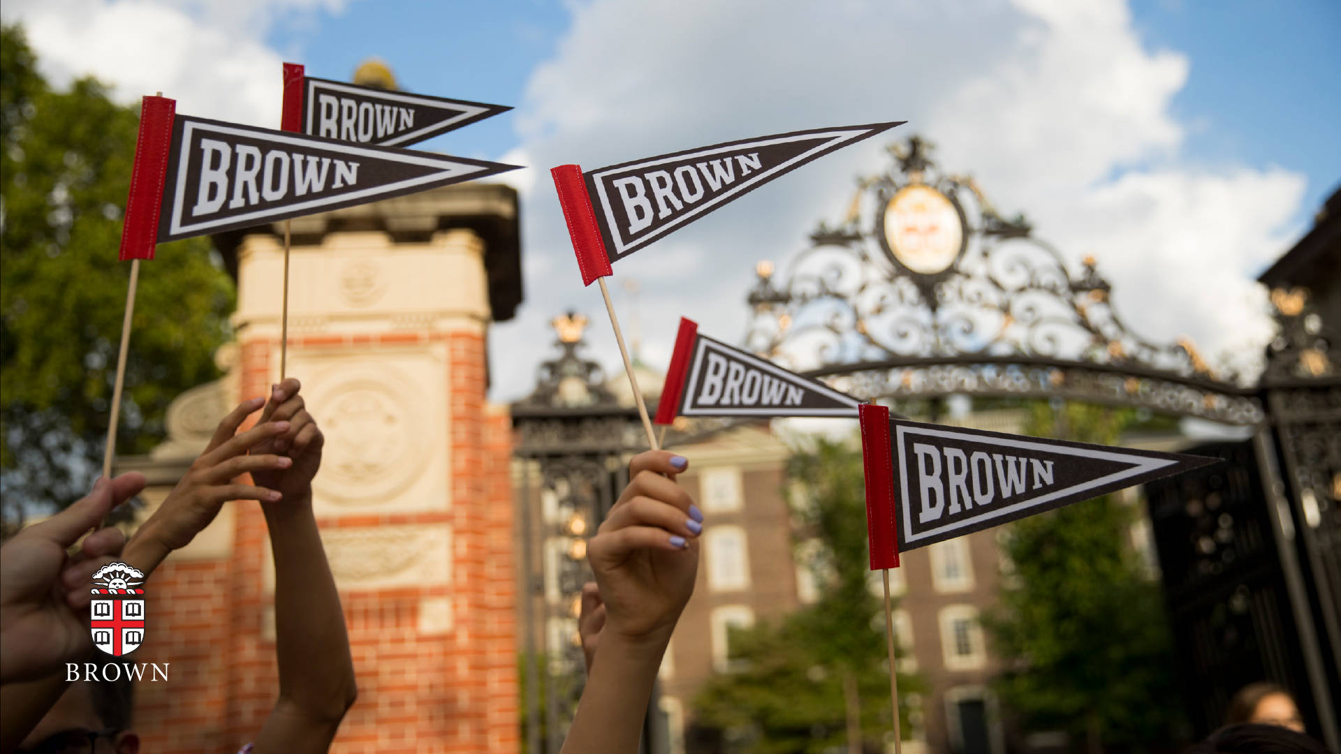 Brown University Flag Banners Background