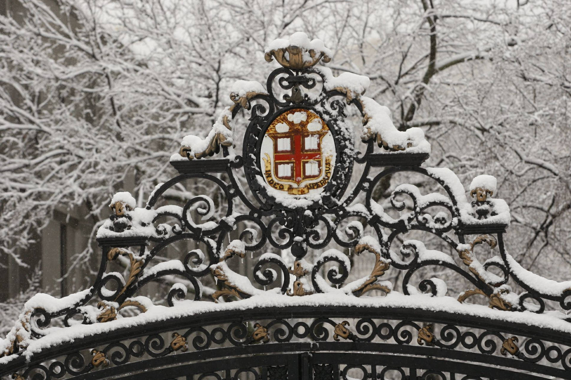 Brown University Gate With Snow Background