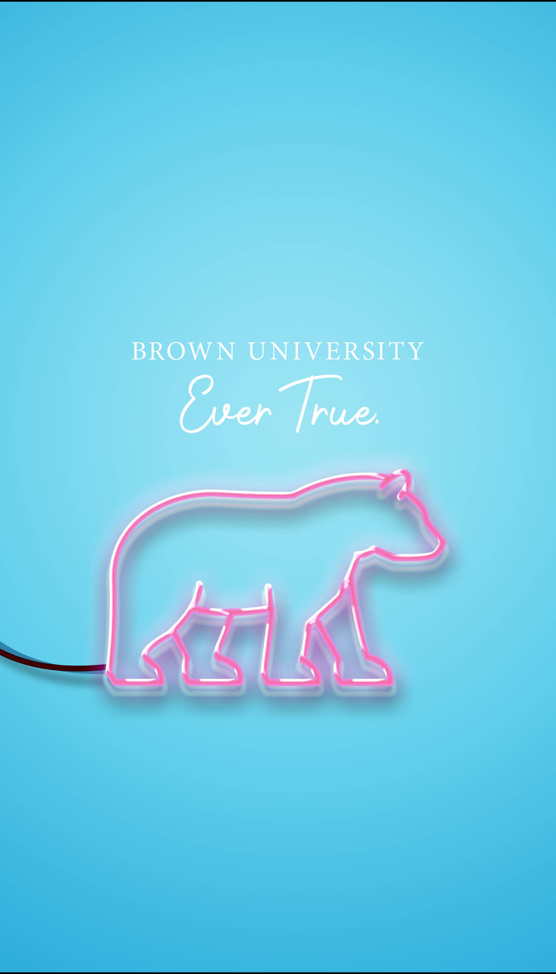 Brown University Neon Pink Phone Graphic Background