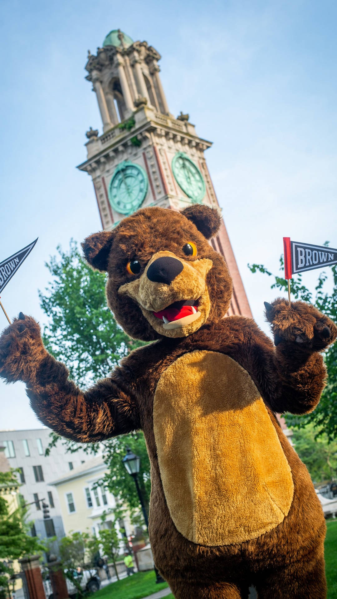 Brown University's Mascot, Bruno The Bear Background