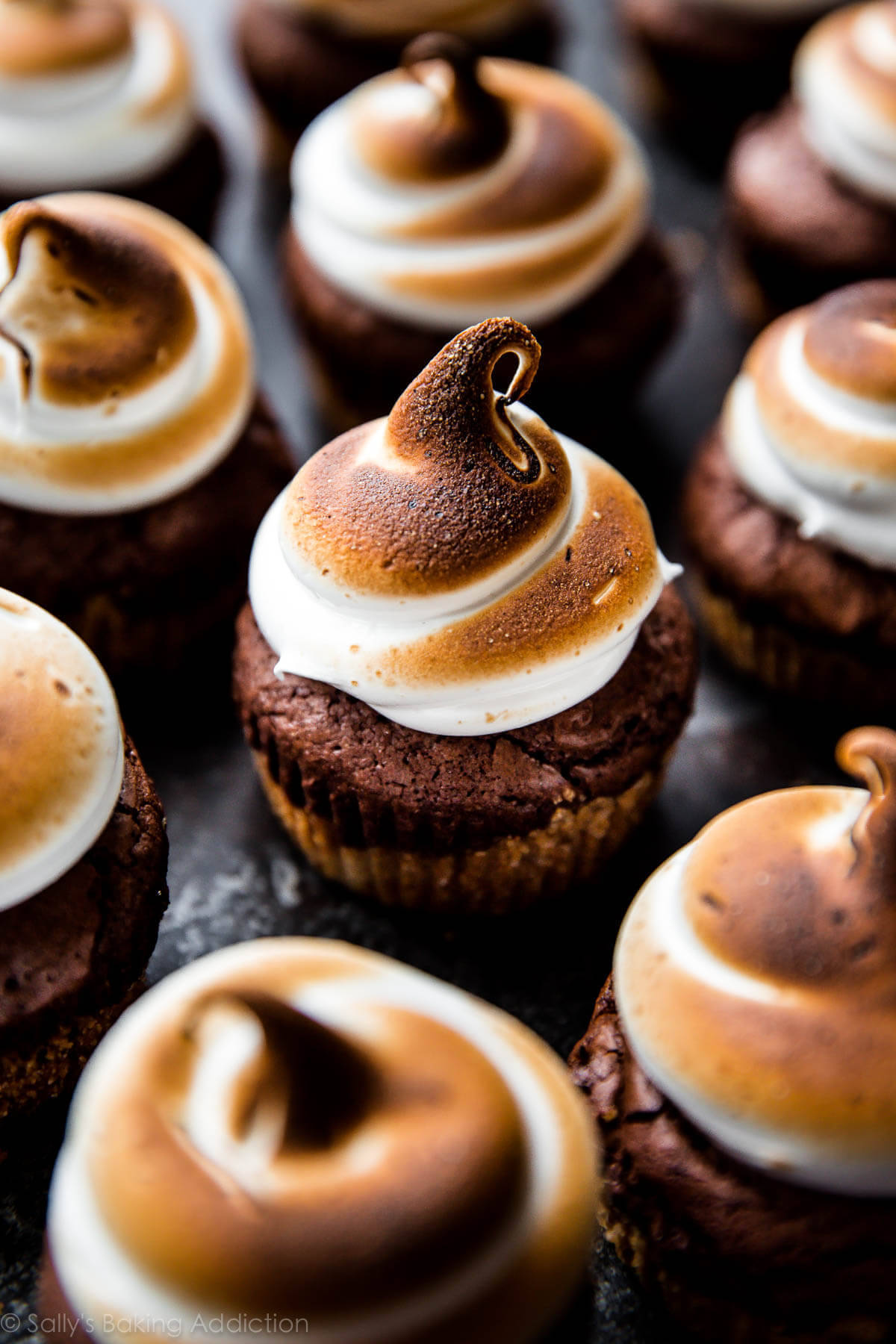 Brownie Cupcakes With Toasted Marshmallows Background
