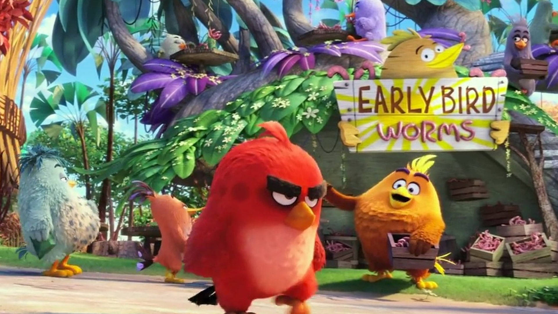 Brroding Red From The Angry Birds Movie Background