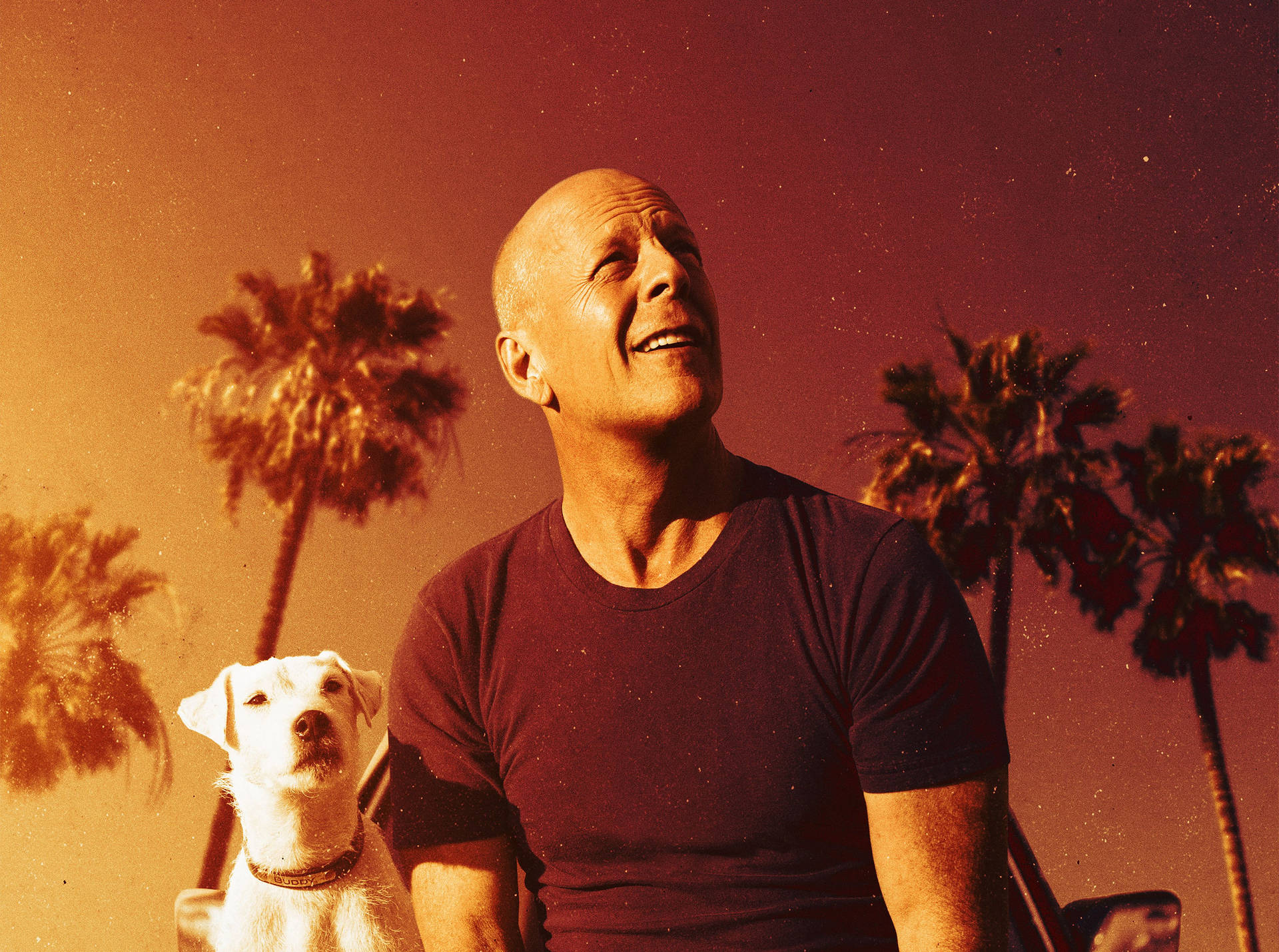 Bruce Willis And Dog Buddy Background