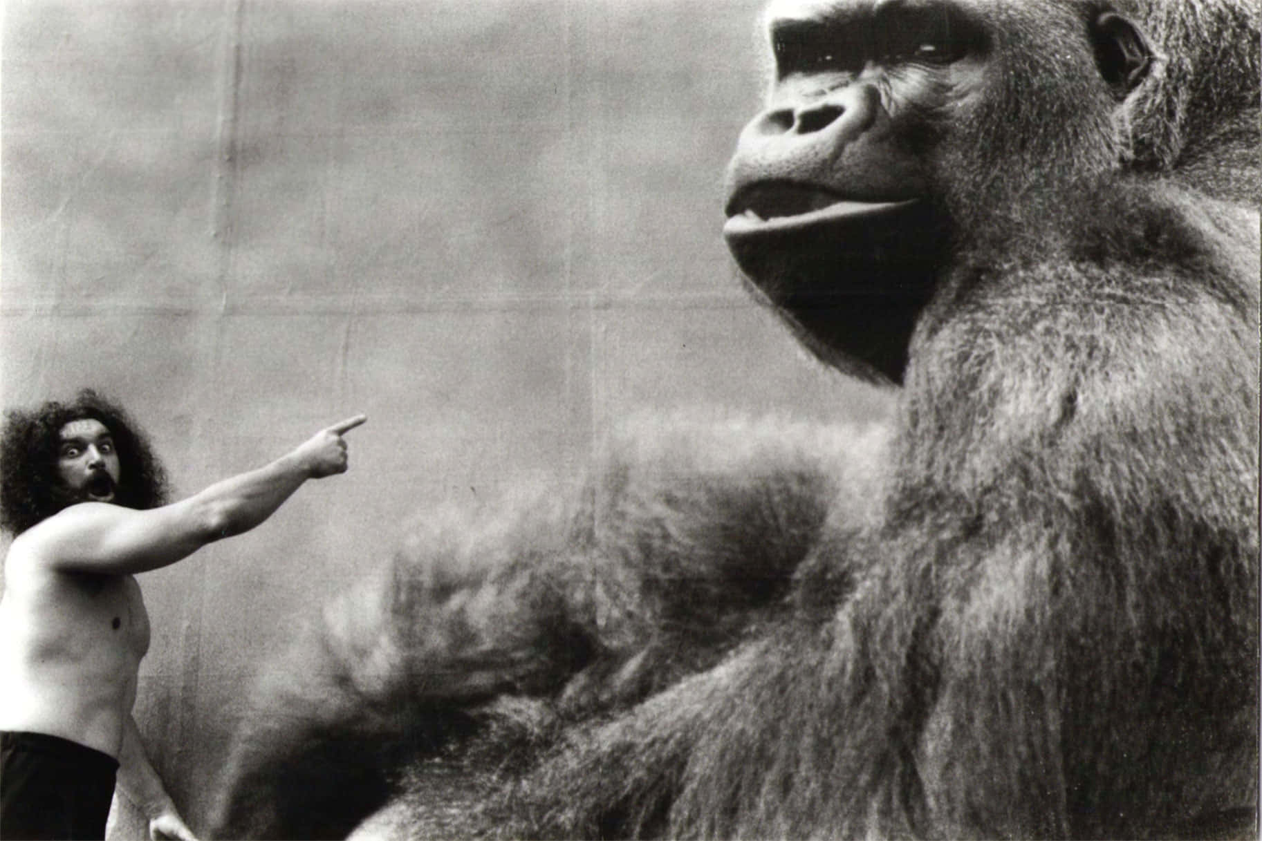 Bruiser Brody As King Kong Body Background