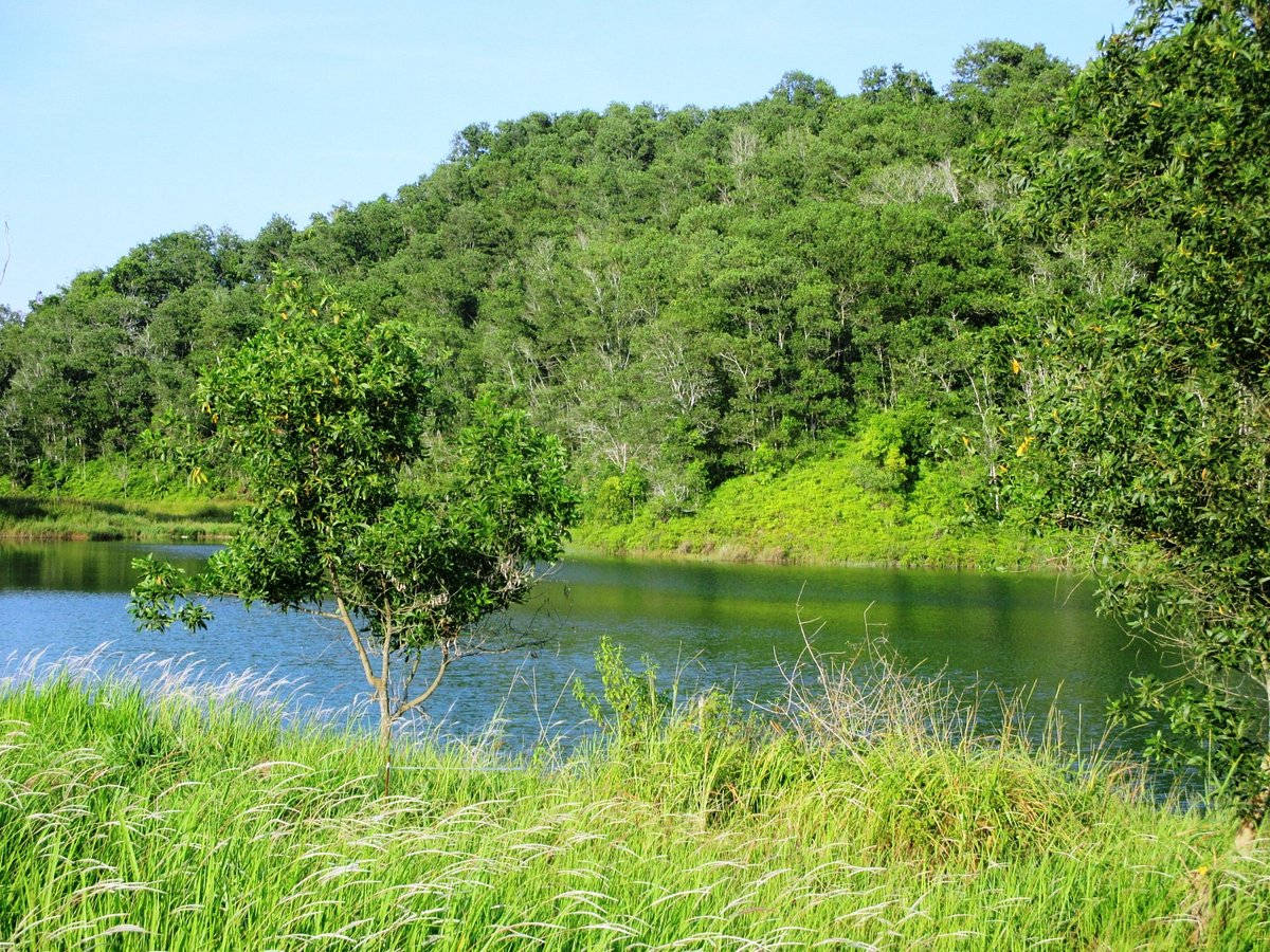 Brunei Lugu Lake