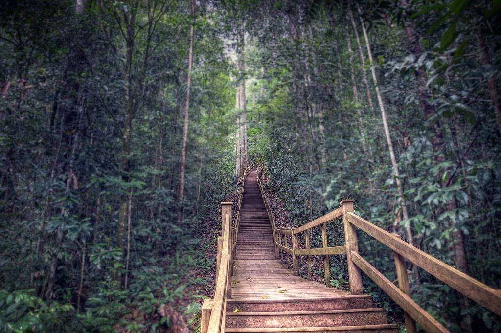 Brunei Ulu Temburong National Park