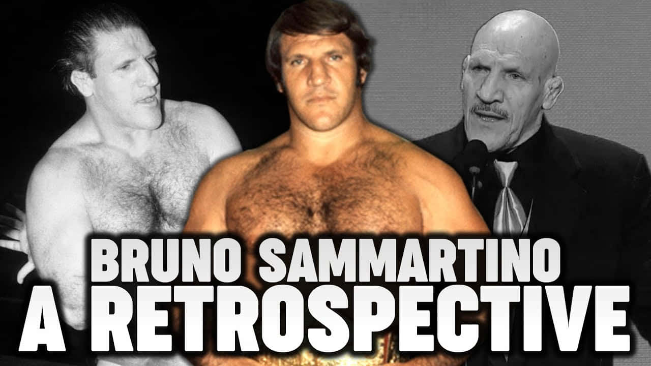 Bruno Sammartino A Retrospective Poster
