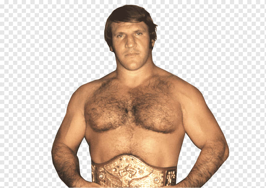 Bruno Sammartino American Professional Wrestler Background