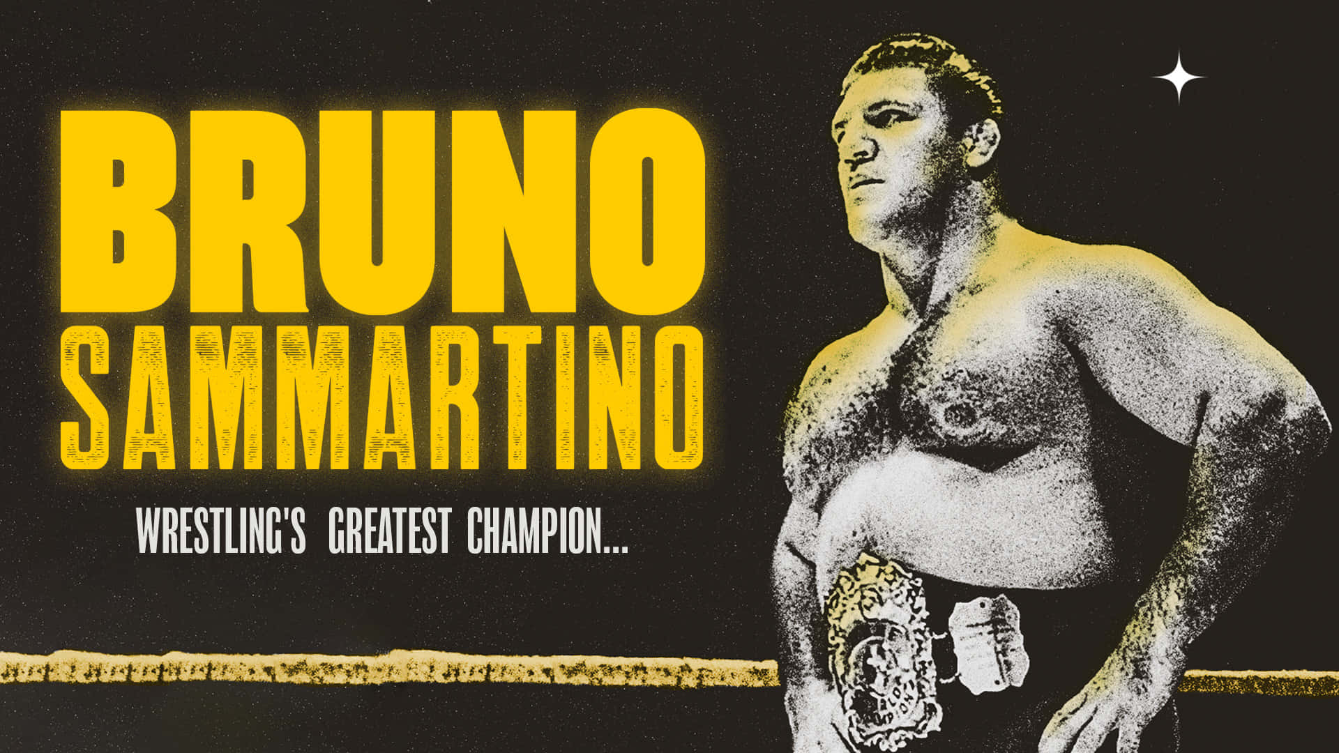 Bruno Sammartino Greatest Wrestling Champion