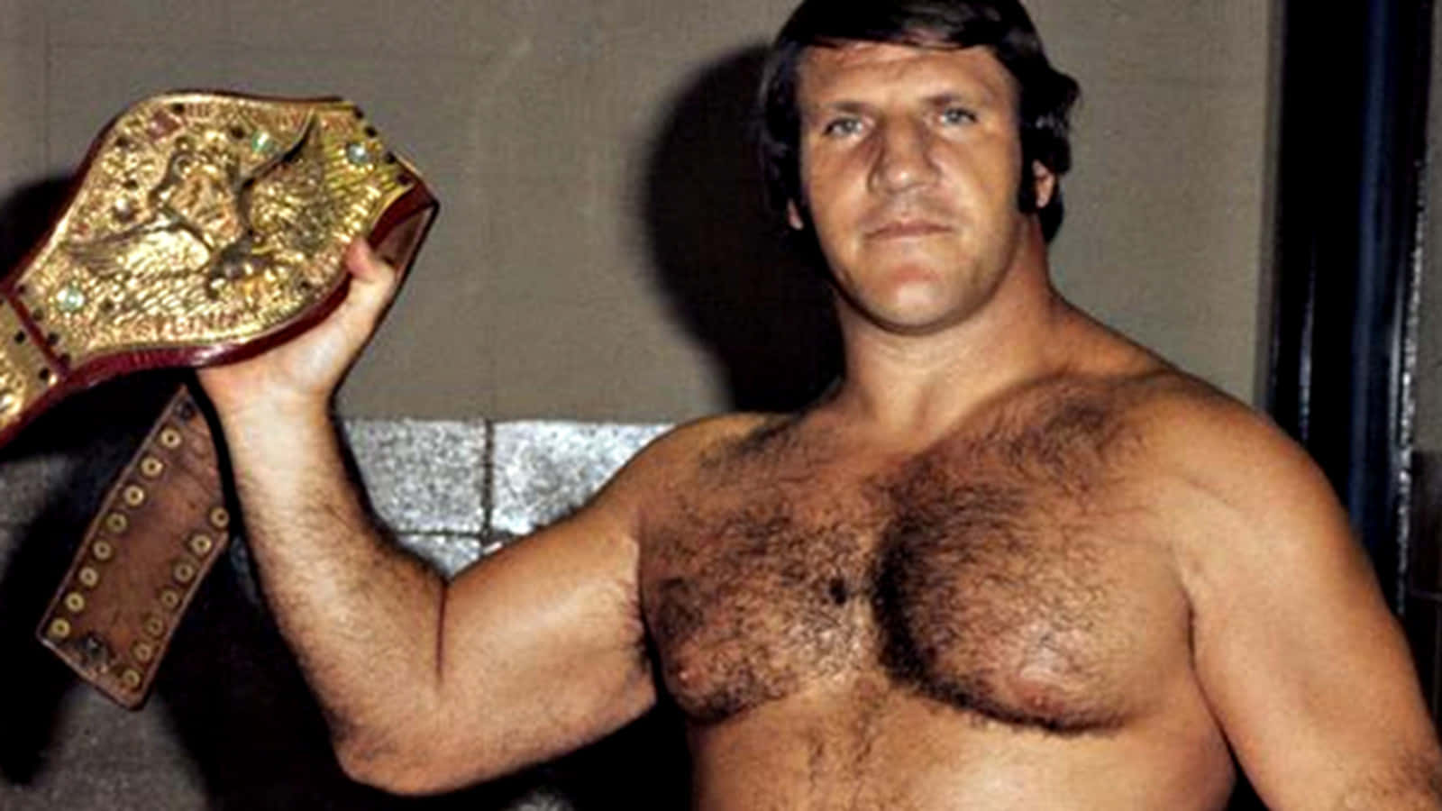 Bruno Sammartino Heavyweight Championship Belt Background