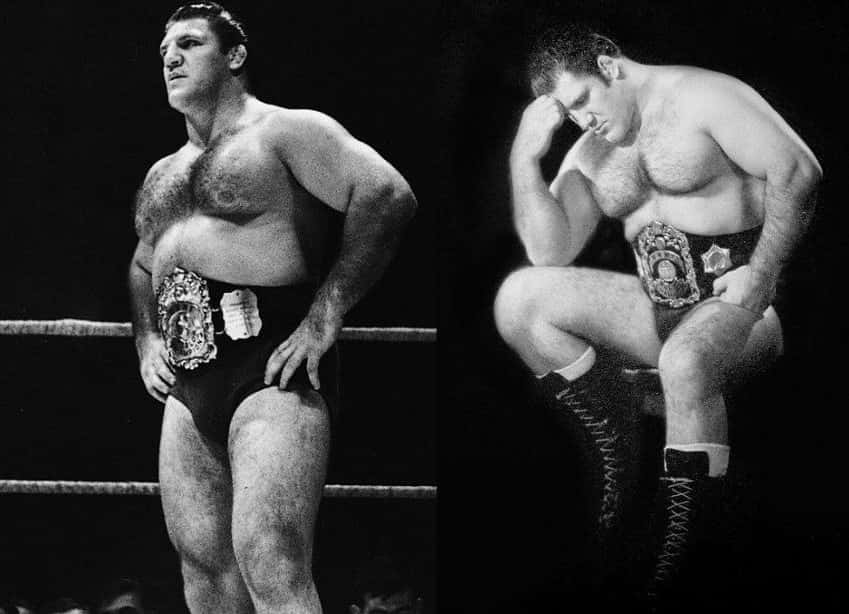 Bruno Sammartino Heavyweight Wrestler