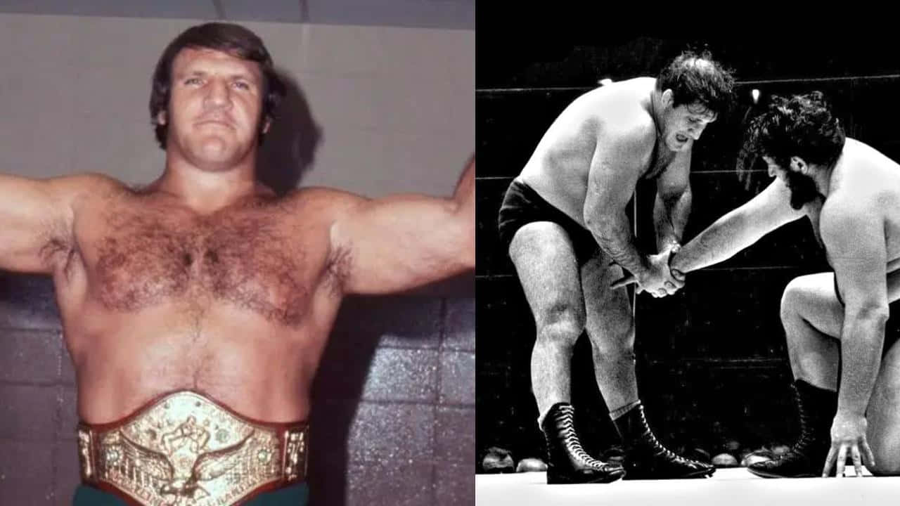 Bruno Sammartino In A Match Background