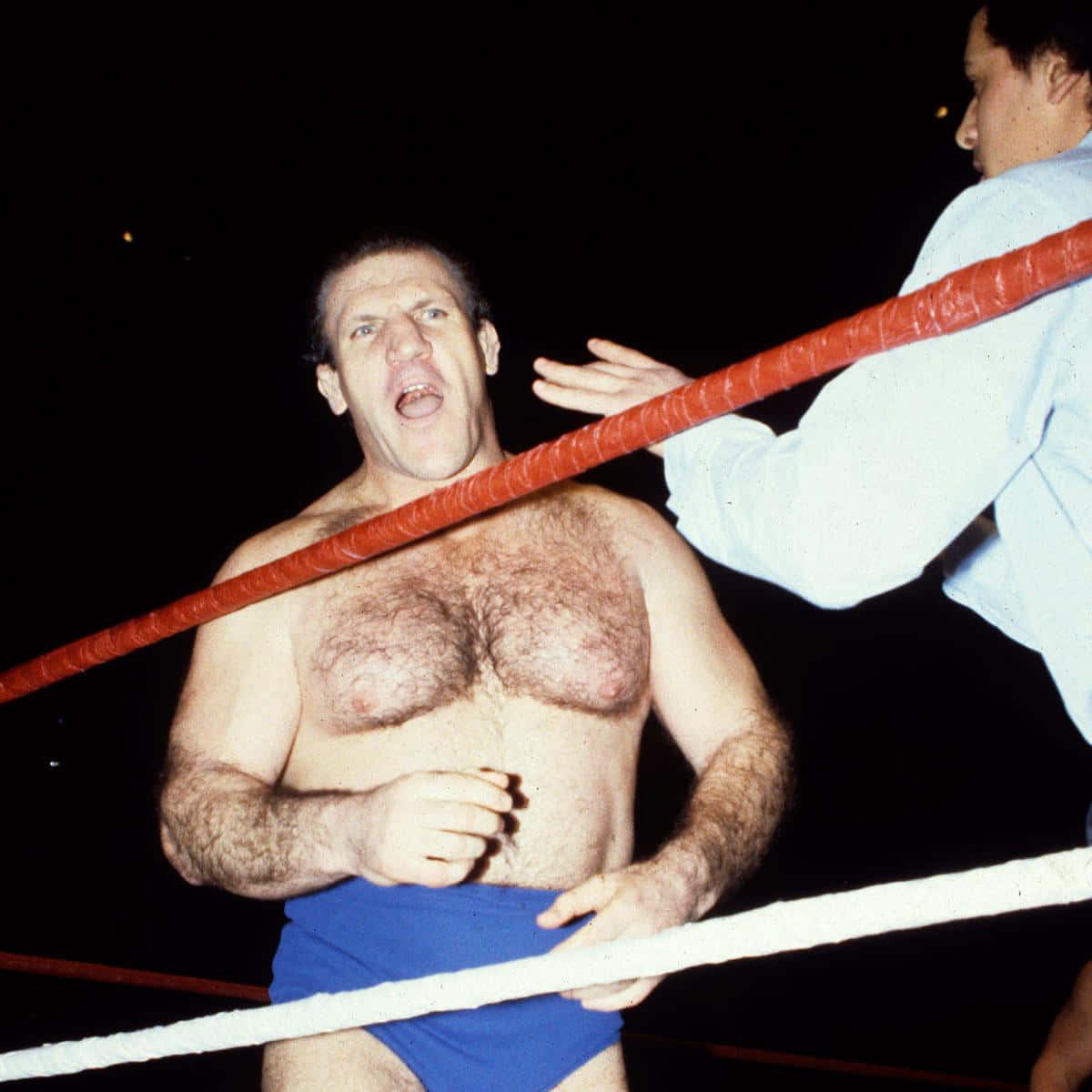 Bruno Sammartino In The Wrestling Ring