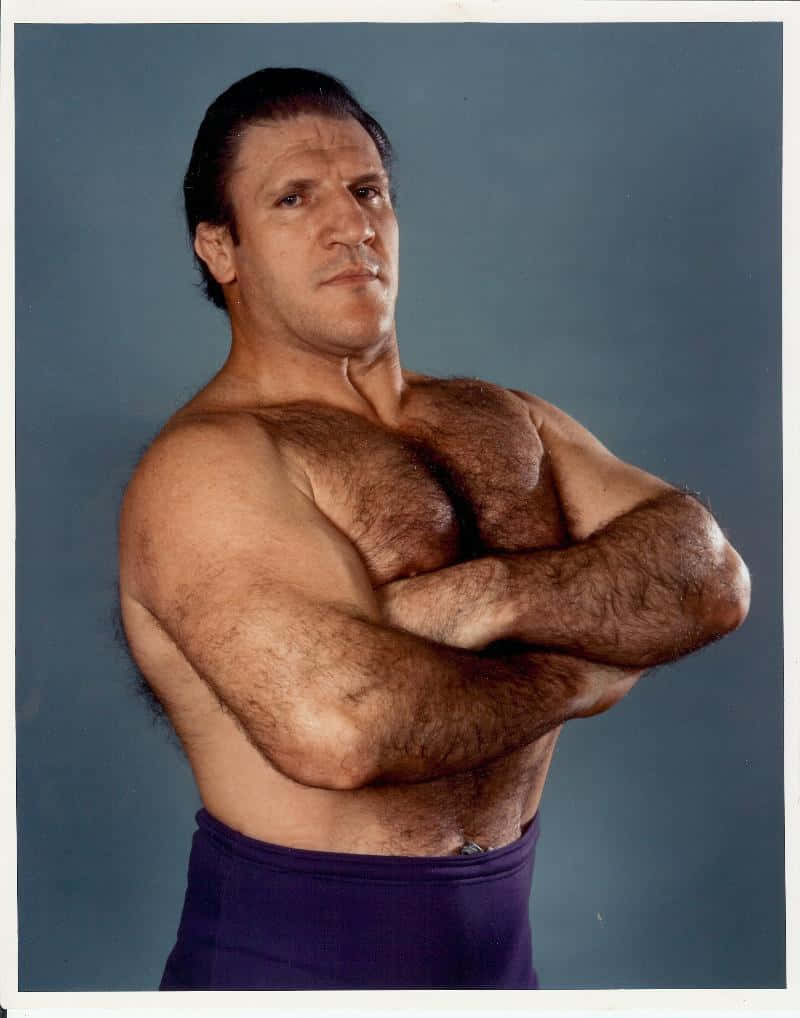 Bruno Sammartino Italian-american Wrestler