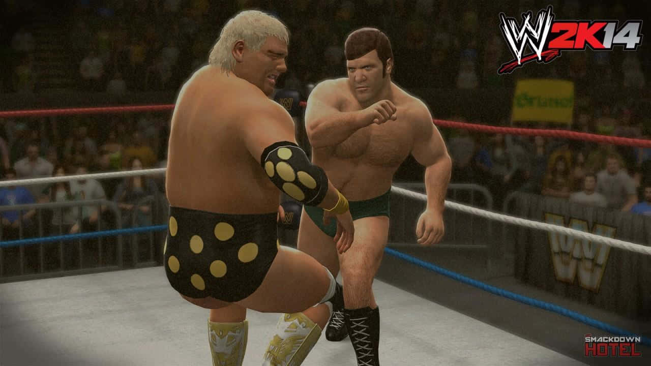 Bruno Sammartino Match With Dusty Rhodes Background