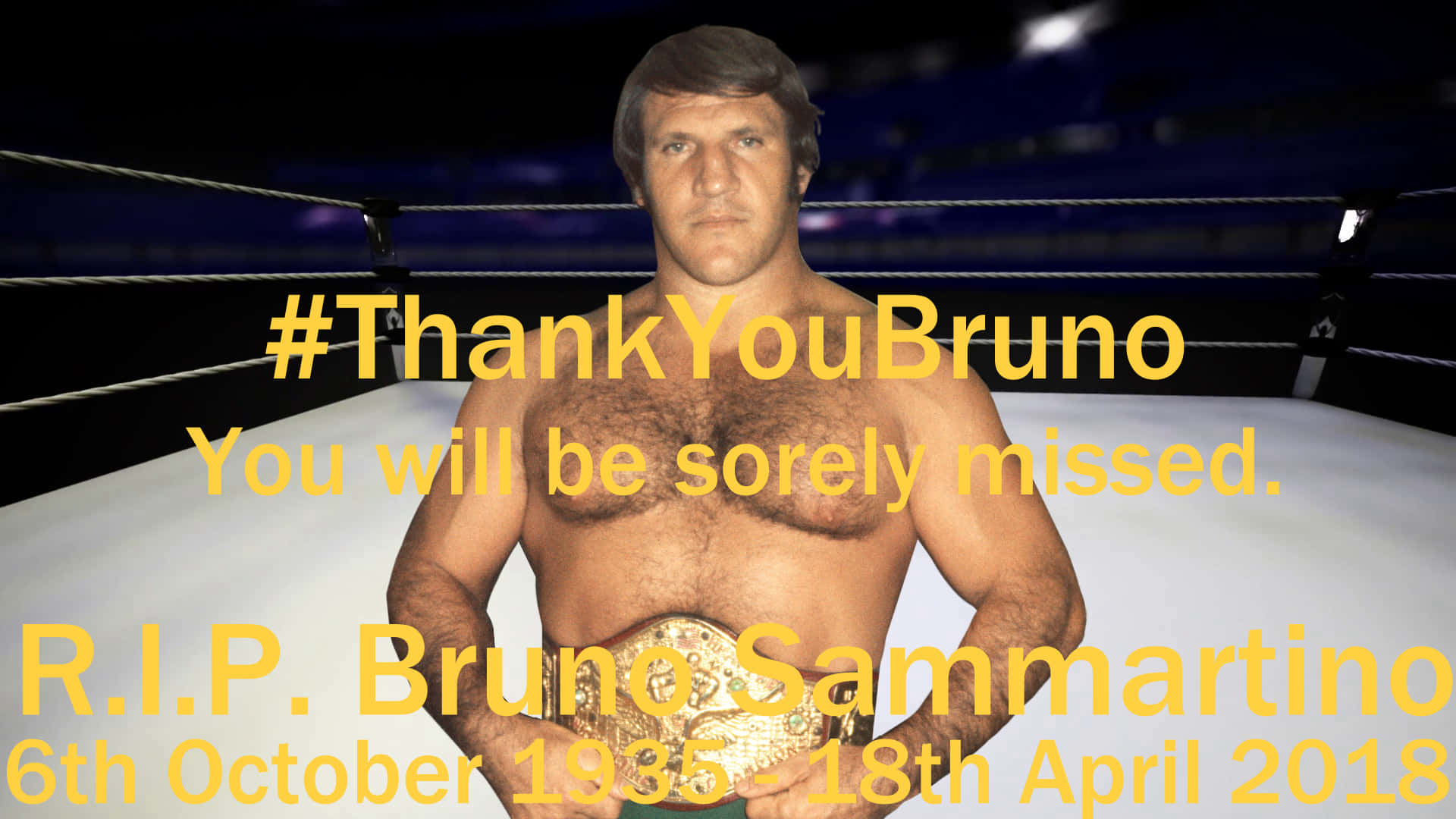 Bruno Sammartino Tribute Poster