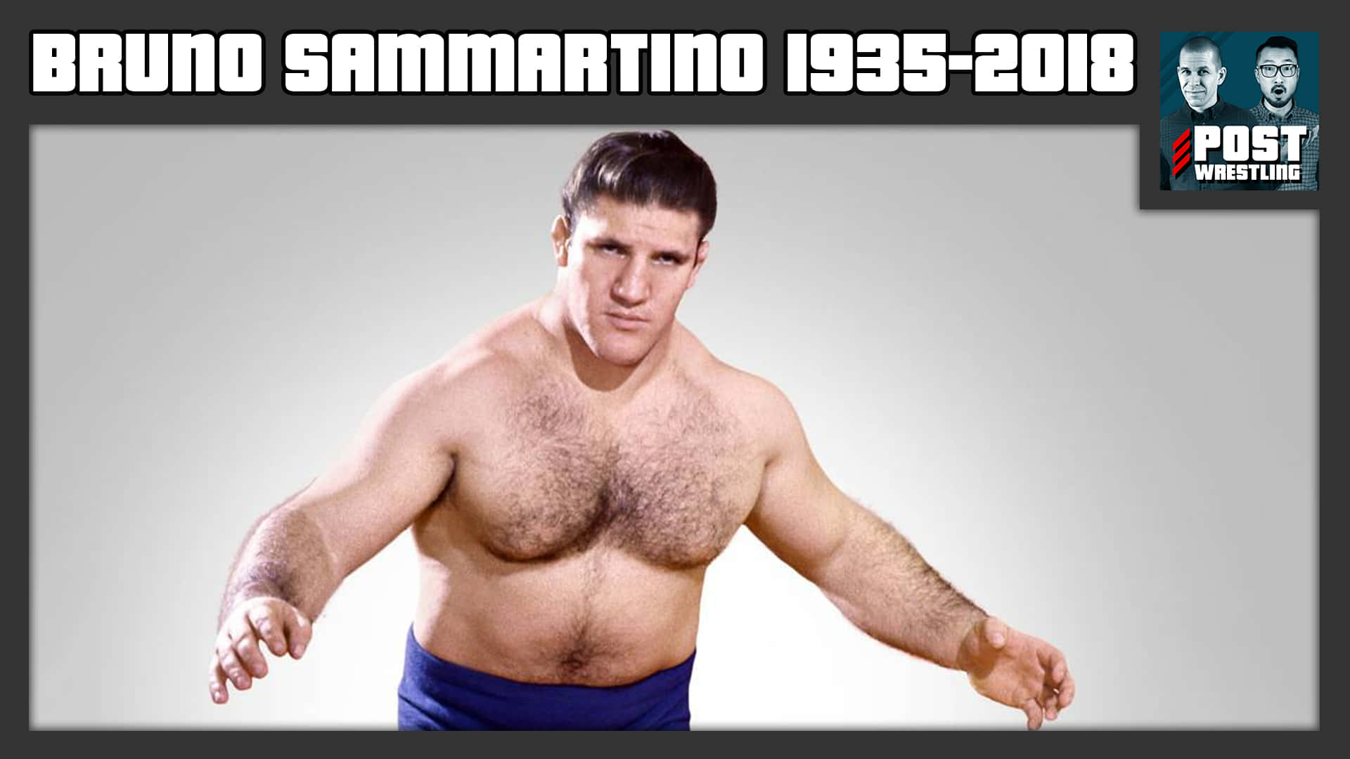 Bruno Sammartino Tribute Poster