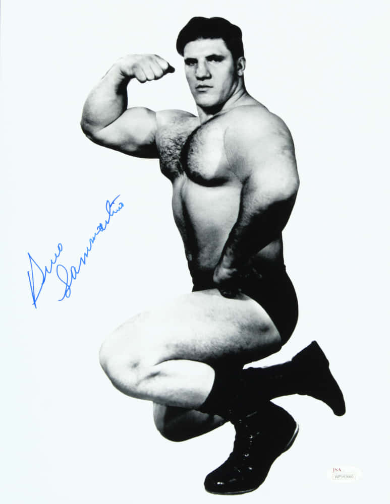 Bruno Sammartino Vintage Autographed Photograph